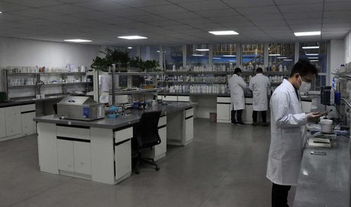 豫企研發(fā)長效防疫抗菌新品 抑菌率達(dá)100% 生物技術(shù)賦能健康未來